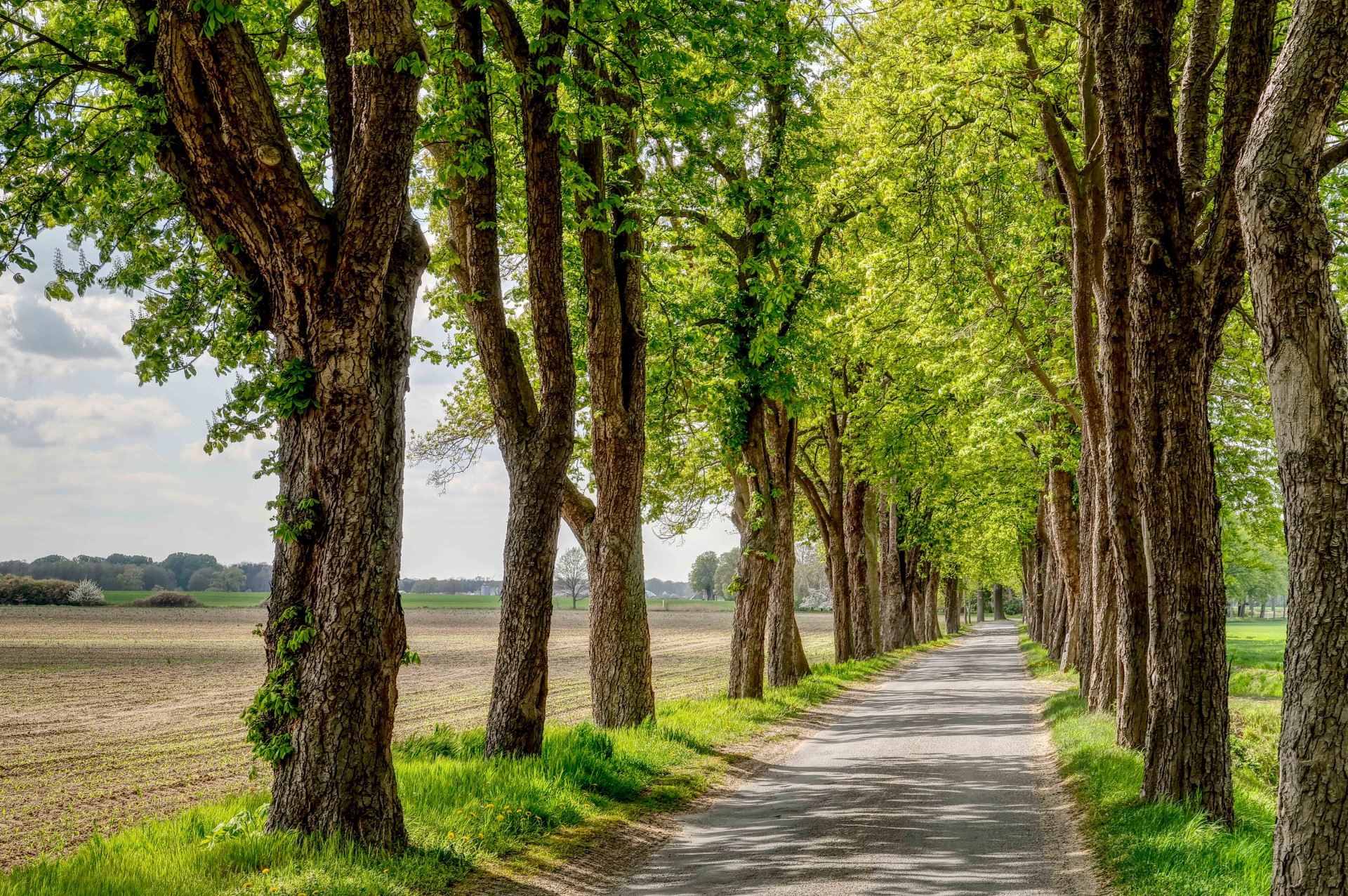 Brandenburg: Industriekultur als Roadtrip für das Frühjahr und den Sommer